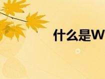 什么是WIFI（什么是wifi）