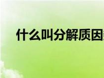 什么叫分解質(zhì)因數(shù)（質(zhì)因數(shù)分解是什么）