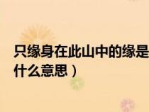 只緣身在此山中的緣是什么意思思（只緣身在此山中的緣是什么意思）