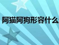 阿貓阿狗形容什么動(dòng)物（阿貓阿狗是成語(yǔ)嗎）