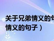 關(guān)于兄弟情義的句子發(fā)朋友圈短句（關(guān)于兄弟情義的句子）
