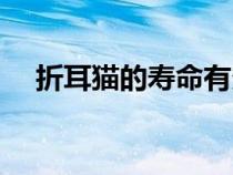 折耳貓的壽命有多長(zhǎng)（貓的壽命有多長(zhǎng)）