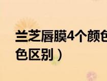 蘭芝唇膜4個(gè)顏色區(qū)別大嗎(蘭芝唇膜4個(gè)顏色區(qū)別) 蘭芝唇膜4個(gè)顏色區(qū)別大嗎(蘭芝唇膜4個(gè)顏色區(qū)別)
