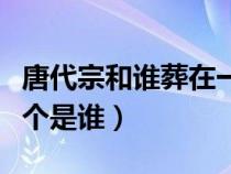 唐代宗和誰(shuí)葬在一起(唐代宗合葬的皇后有幾個(gè)是誰(shuí)) 唐代宗和誰(shuí)葬在一起(唐代宗合葬的皇后有幾個(gè)是誰(shuí))