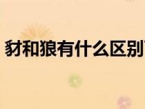 豺和狼有什么區(qū)別百度貼吧（豺和狼的區(qū)別）