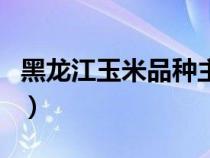 黑龍江玉米品種主要有哪些（黑龍江玉米品種）