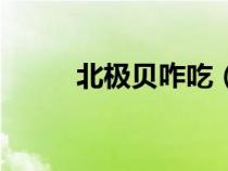 北極貝咋吃（北極貝做熟怎么吃）