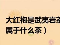 大紅袍是武夷巖茶的一種嗎（大紅袍武夷巖茶屬于什么茶）