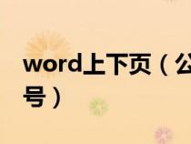 word上下頁（公文序號的結(jié)構(gòu)層次順序及字號）