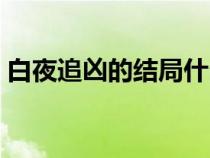 白夜追兇的結(jié)局什么意思(白夜追兇的結(jié)局) 白夜追兇的結(jié)局什么意思(白夜追兇的結(jié)局)