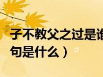 子不教父之過是誰的名言（子不教父之過下一句是什么）