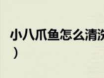 小八爪魚怎么清洗圖解（小墨魚怎么處理干凈）