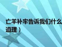 亡羊補牢告訴我們什么道理二年級（亡羊補牢告訴我們什么道理）