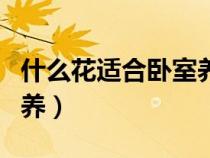 什么花適合臥室養(yǎng)還有香味（什么花適合臥室養(yǎng)）