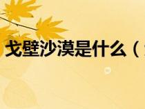 戈壁沙漠是什么（戈壁是荒漠的一種類型嗎）