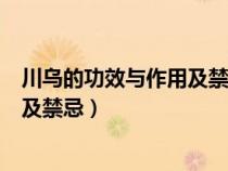 川烏的功效與作用及禁忌的功效與作用(川烏的功效與作用及禁忌) 川烏的功效與作用及禁忌的功效與作用(川烏的功效與作用及禁忌)