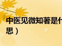 中醫(yī)見微知著是什么意思（見微知著是什么意思）