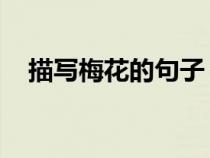 描寫梅花的句子 超優(yōu)美（有關(guān)梅花的詩）