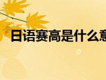日語賽高是什么意思（漢服賽高什么意思）