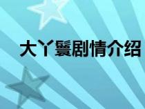 大丫鬟劇情介紹 簡(jiǎn)介（大丫鬟劇情介紹）