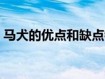 馬犬的優(yōu)點(diǎn)和缺點(diǎn)特性(馬犬的優(yōu)點(diǎn)和缺點(diǎn)) 馬犬的優(yōu)點(diǎn)和缺點(diǎn)特性(馬犬的優(yōu)點(diǎn)和缺點(diǎn))