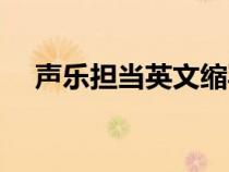 聲樂擔(dān)當(dāng)英文縮寫（聲樂擔(dān)當(dāng)什么意思）