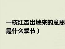 一枝紅杏出墻來的意思是什么意思(一枝紅杏出墻來的全詩是什么季節(jié)) 一枝紅杏出墻來的意思是什么意思(一枝紅杏出墻來的全詩是什么季節(jié))