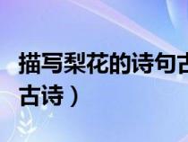 描寫梨花的詩(shī)句古詩(shī)大全集(描寫梨花的詩(shī)句古詩(shī)) 描寫梨花的詩(shī)句古詩(shī)大全集(描寫梨花的詩(shī)句古詩(shī))
