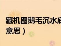 藏機圖鵝毛沉水底（鵝毛沉底弱水三千是什么意思）