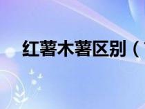 紅薯木薯區(qū)別（甘薯和紅薯有什么區(qū)別）