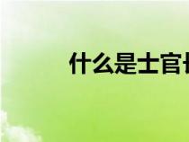 什么是士官長?（什么是士官長）