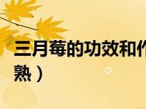 三月莓的功效和作用（野生三月莓什么時候成熟）
