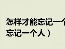 怎樣才能忘記一個人我不想再想了（怎樣才能忘記一個人）