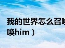 我的世界怎么召喚him視頻（我的世界怎么召喚him）