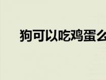 狗可以吃雞蛋么?（家狗可以吃雞蛋嗎）
