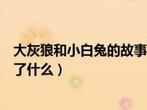 大灰狼和小白兔的故事內容（大灰狼和小白兔的故事主要講了什么）