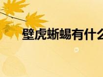 壁虎蜥蜴有什么區(qū)別（壁虎是蜥蜴嗎）
