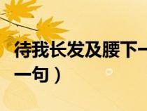 待我長發(fā)及腰下一句怎么說（待我長發(fā)及腰下一句）