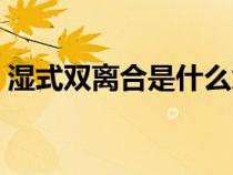 濕式雙離合是什么意思（雙離合是什么意思）