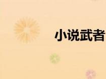 小說武者（武者楊念結局）