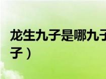 龍生九子是哪九子母親是誰(shuí)（龍生九子是哪九子）