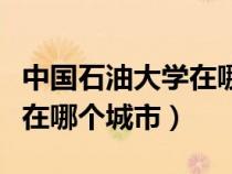 中國石油大學(xué)在哪個城市山東（中國石油大學(xué)在哪個城市）