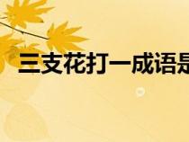 三支花打一成語是什么（三支花打一成語）