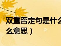 雙重否定句是什么意思視頻（雙重否定句是什么意思）