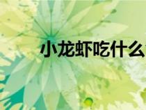 小龍蝦吃什么食物（小龍蝦能吃嗎）