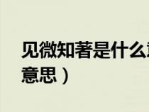 見微知著是什么意思10字(見微知著是什么意思) 見微知著是什么意思10字(見微知著是什么意思)