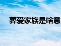 葬愛家族是啥意思（葬愛家族什么意思）