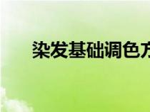 染發(fā)基礎(chǔ)調(diào)色方程式(染發(fā)調(diào)色公式) 染發(fā)基礎(chǔ)調(diào)色方程式(染發(fā)調(diào)色公式)