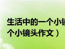 生活中的一個(gè)小鏡頭作文600字（生活中的一個(gè)小鏡頭作文）