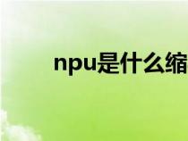 npu是什么縮寫(xiě)（npu是什么意思）